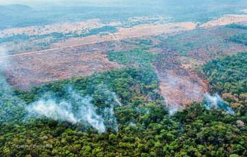 Alerta Climtico na Amaznia