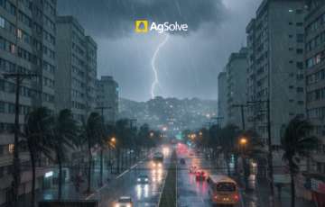 Mudanças climáticas no Brasil: por que chuvas extremas, raios e ventos fortes estão se tornando mais frequentes?